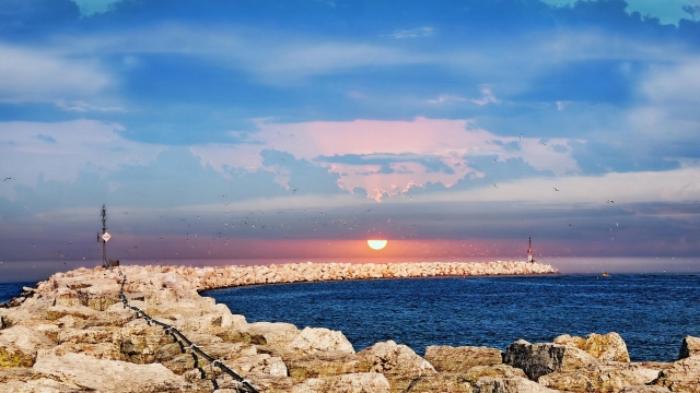 K1体育公司:室内陪健身房