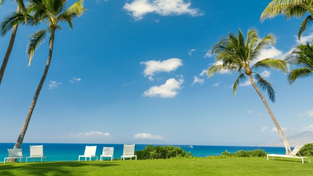 乒乓球台头顶排球